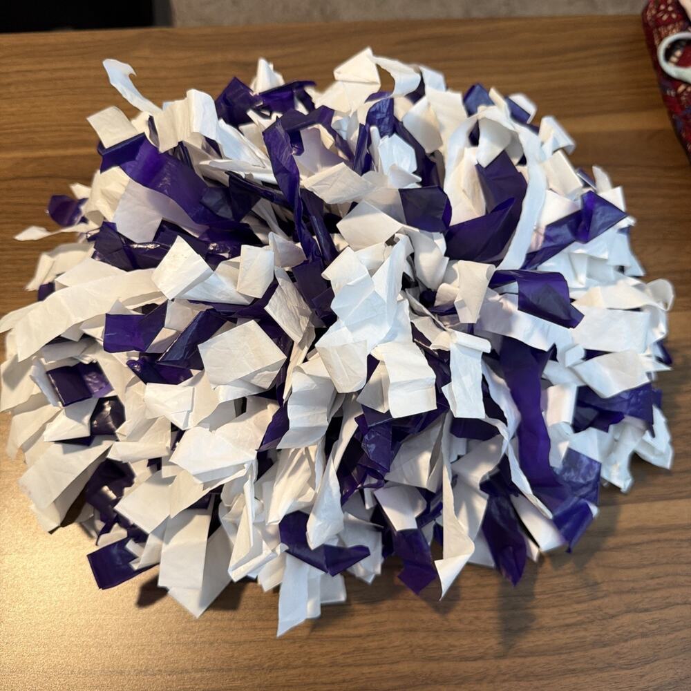 1 Purple & White Cheer Cheerleading Dance Pom Pom 6" Strands